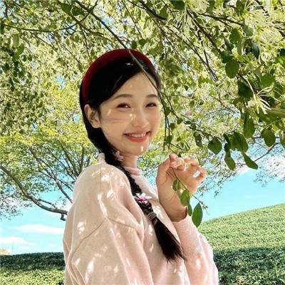 铁甲小宝